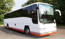 Buses