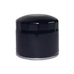 EN38480 Engine Oil Filter